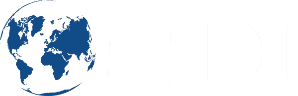 NDI logo